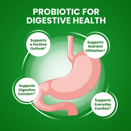 BioSlim Cleanse Capsules