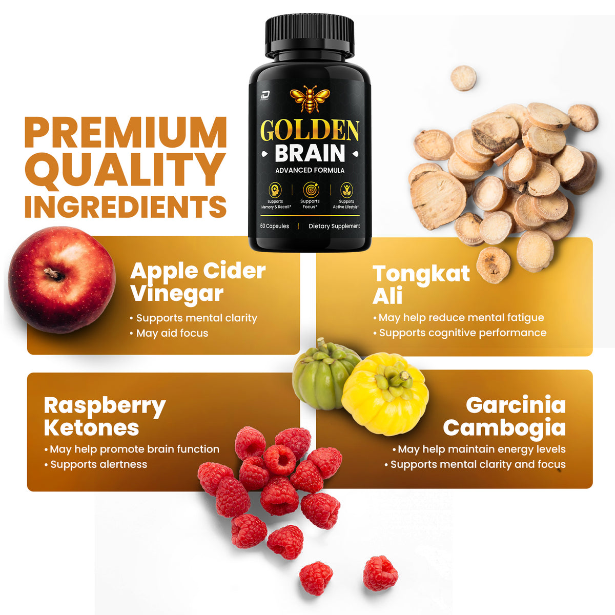 Golden Brain Capsules