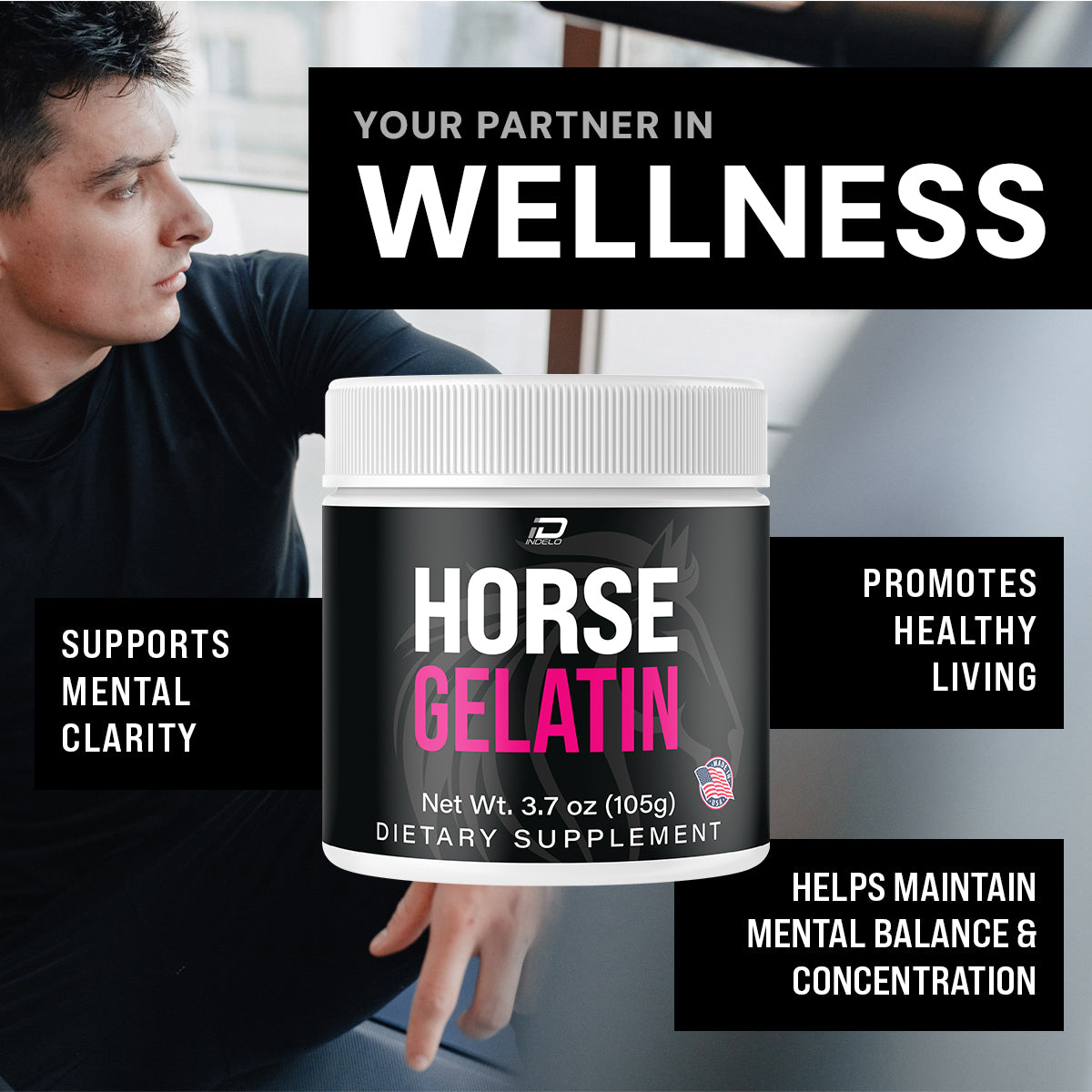Horse Gelatin Powder