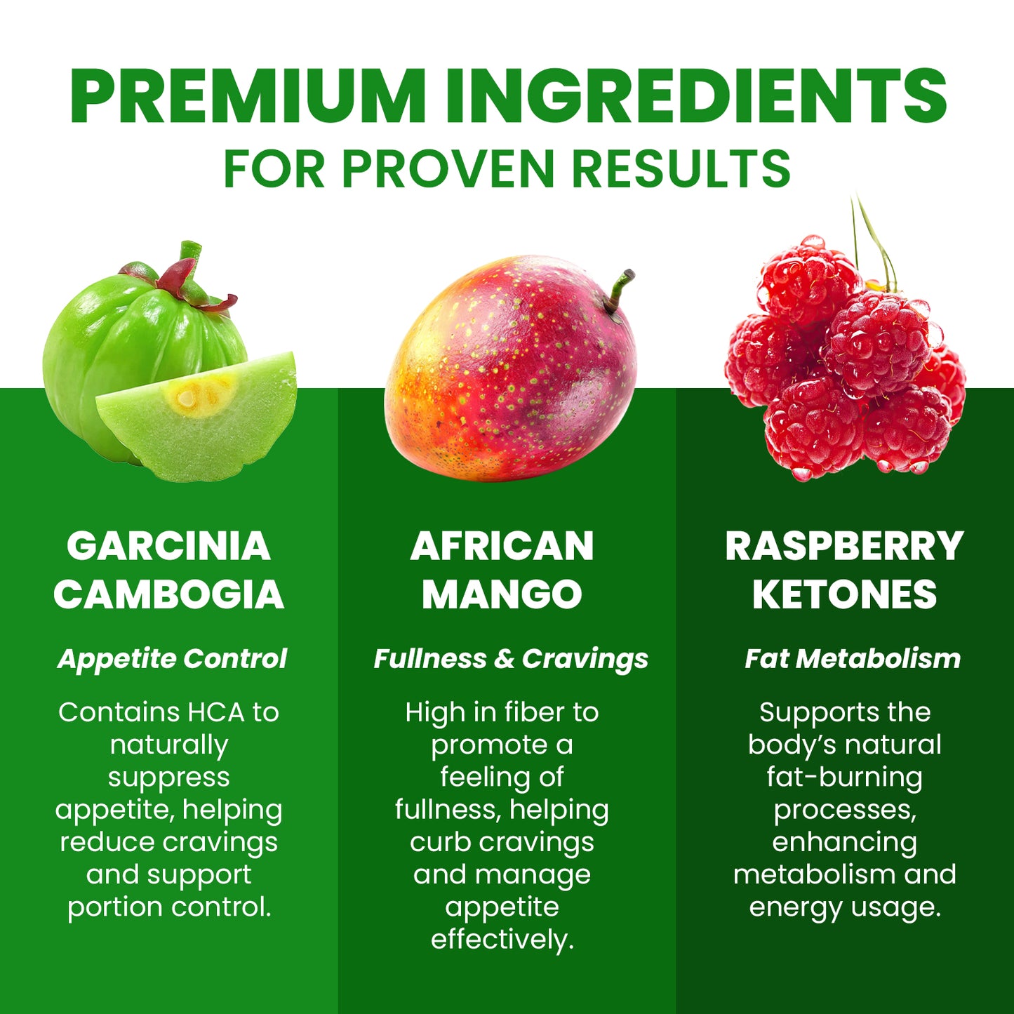 OzemBurn Pro Capsules
