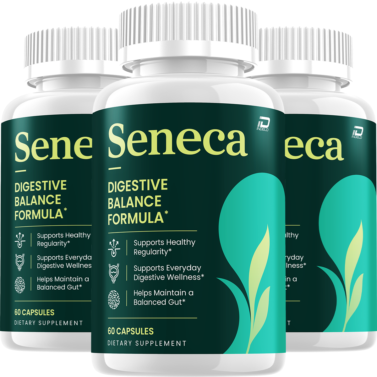 Seneca Capsules