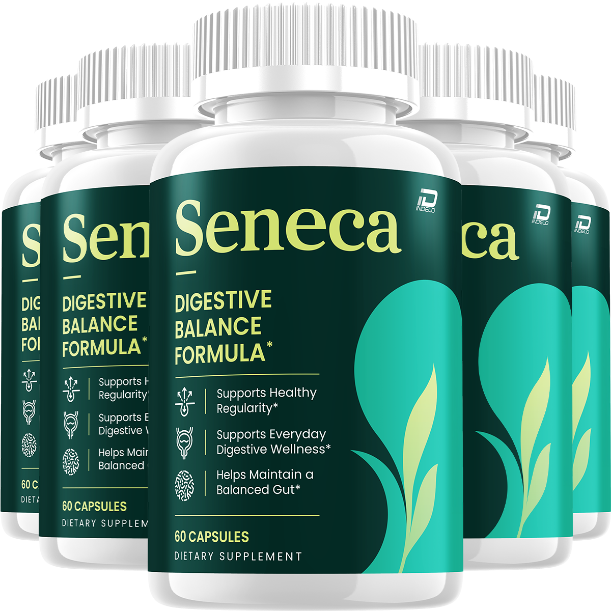 Seneca Capsules