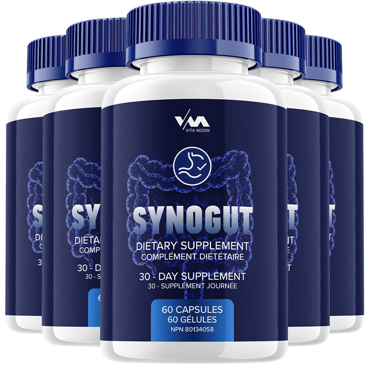 SynoGut